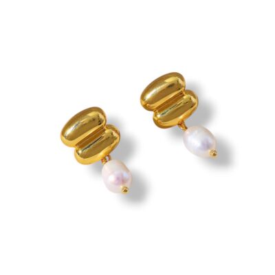 Aretes Darcy