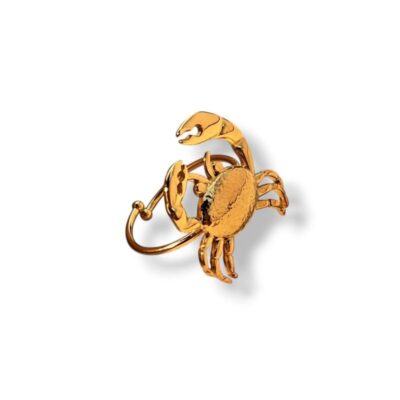 Anillo Jarocho